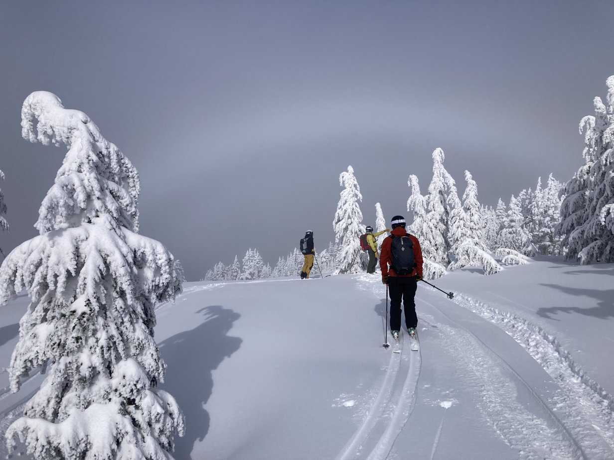 California Ski Guides